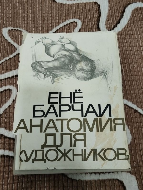 Анатомия для художников