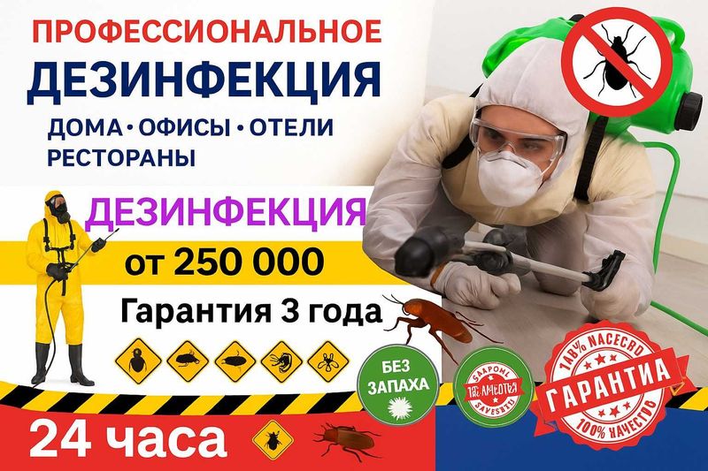 Dezinfeksiya tarakan, klapa, klop | Дезинфекция клопо таракан | DezUz Dezinfeksiya tarakan, klapa, klop | Дезинфекция клопо таракан | DezUz