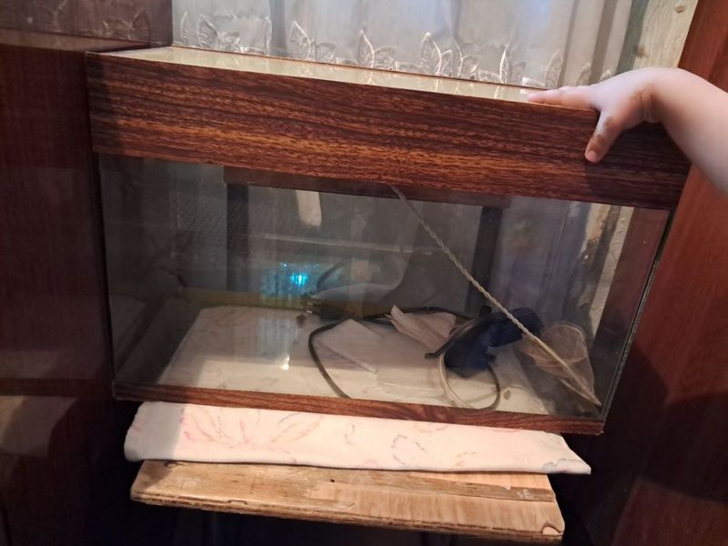 Akvarium baliqlar uchun Akvarium baliqlar uchun