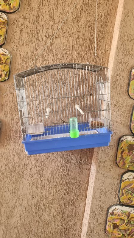 kanareka qafaslari kanareka qafaslari