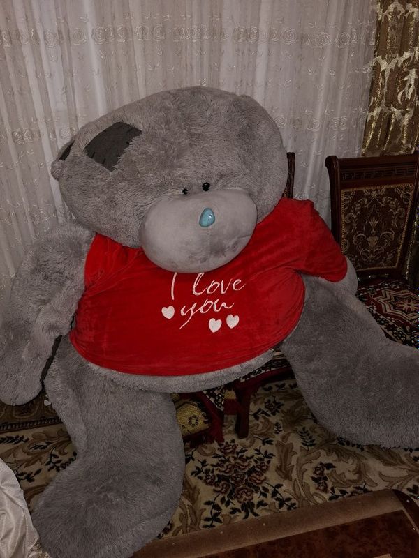 Teddy ayiq sotiladi.