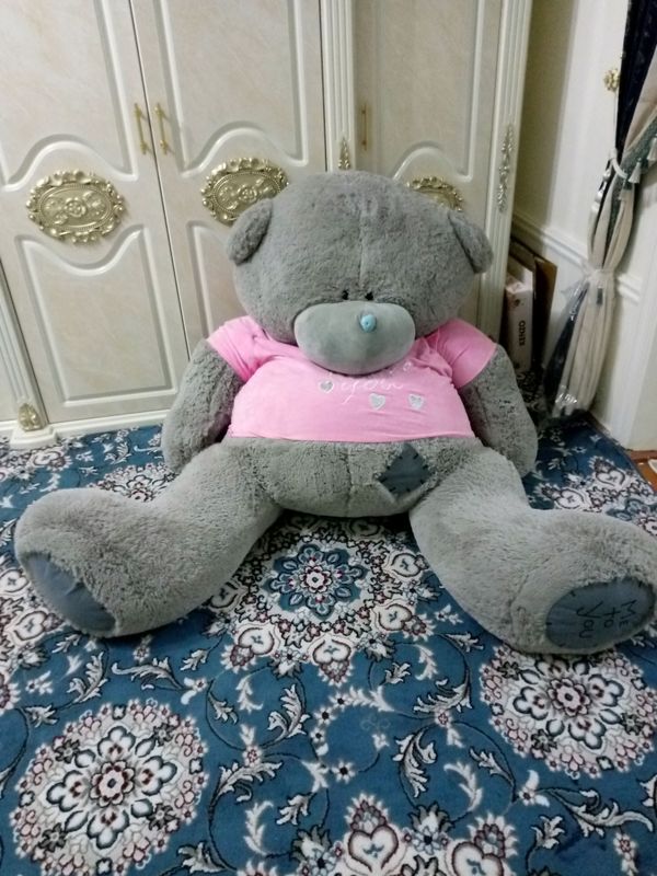 Katta Teddy Katta Teddy