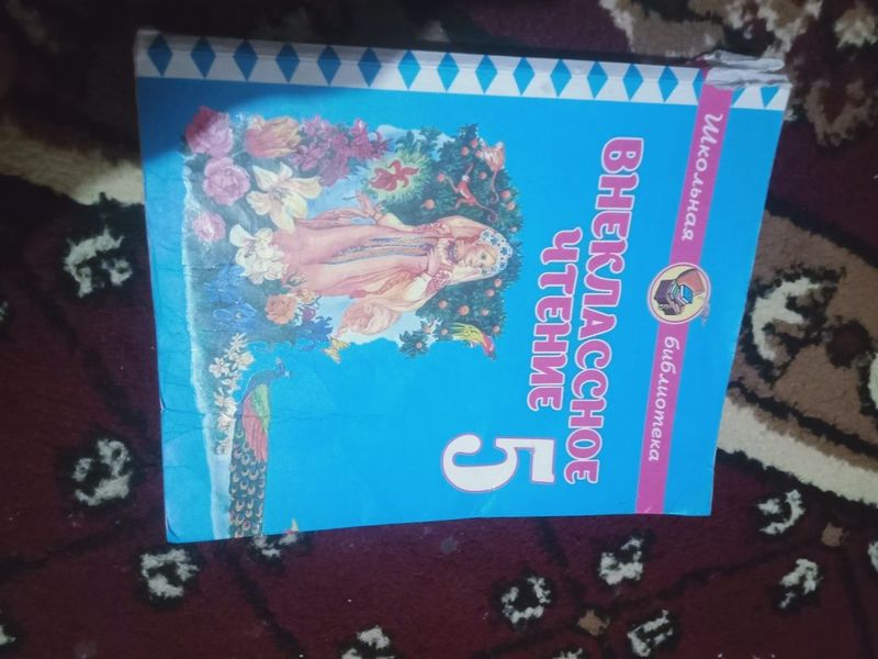 Внеклассное чтение 5