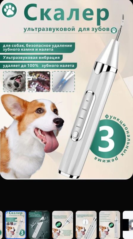 Ультразвуковой скалер для чистки зубов вашему питомцу Ультразвуковой скалер для чистки зубов вашему питомцу