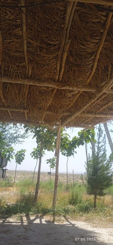 Дача кунлик ижара Дача кунлик ижара