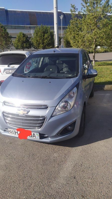 Spark delfin 2013 Spark delfin 2013