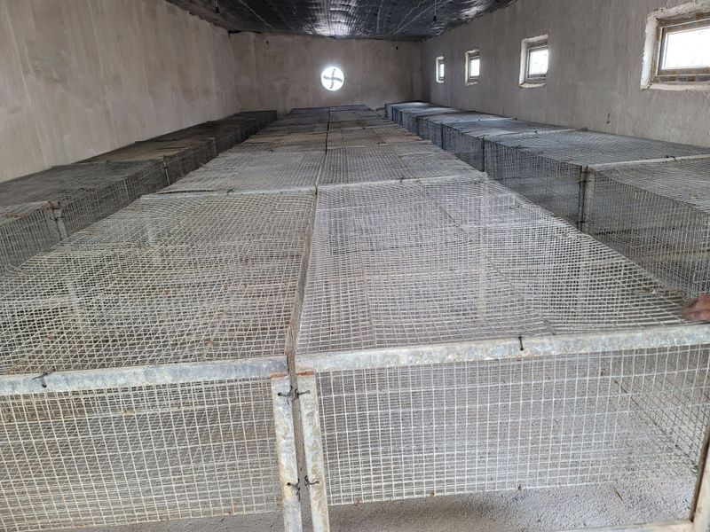 Продаются клетки маточники 2 и откормчные 1