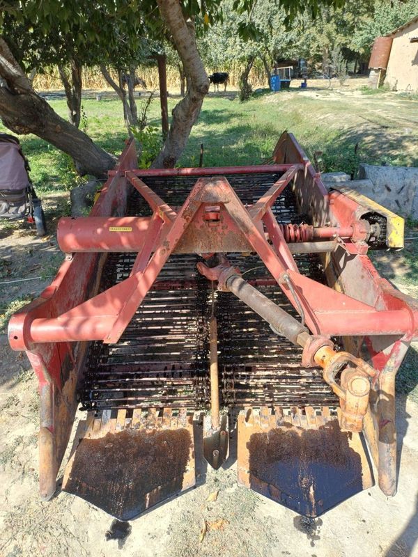 Kartoshka kapalka