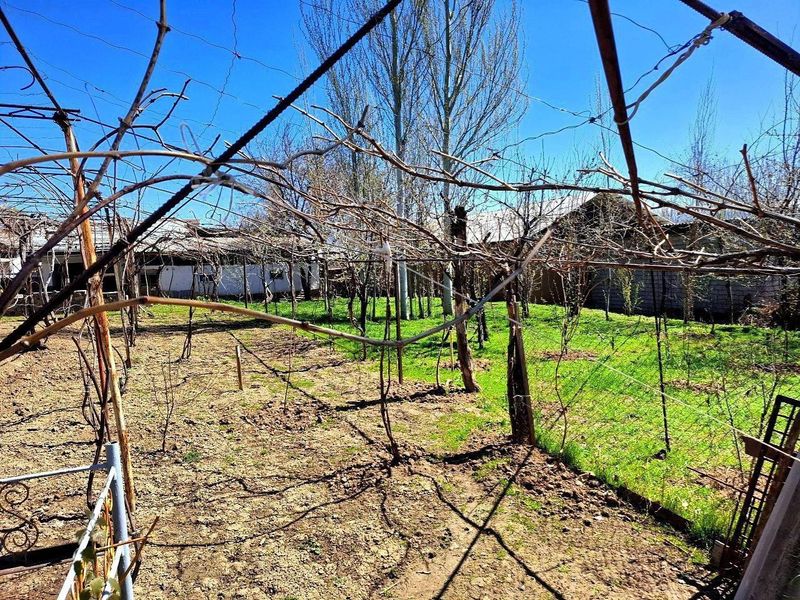 Продажа участка под дачу в Хондайлыке Продажа участка под дачу в Хондайлыке