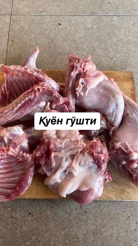 Уйда боқилган қуёнлар Уйда боқилган қуёнлар