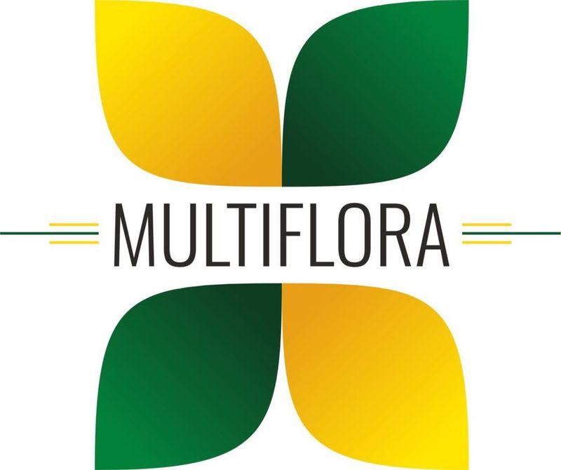 Multiflora — профессиональное озеленение под ключ! Multiflora — профессиональное озеленение под ключ!