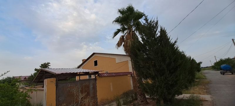 Sherabod tumani Boģobod mahallasi