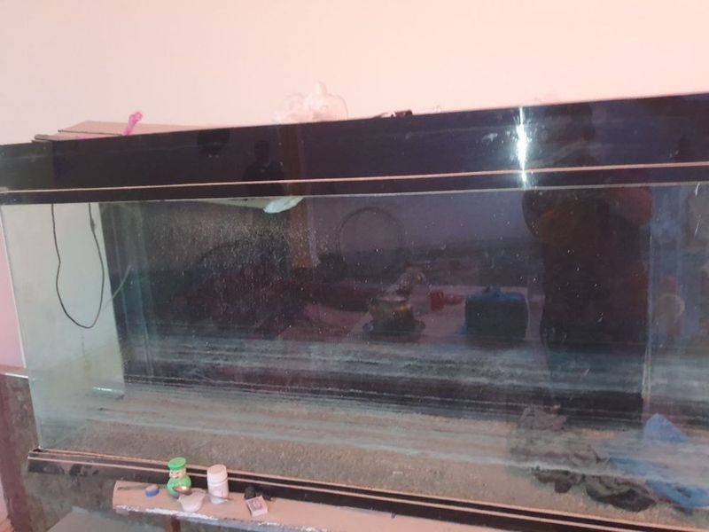 Akvarium sotiladi holati yaxshi Akvarium sotiladi holati yaxshi