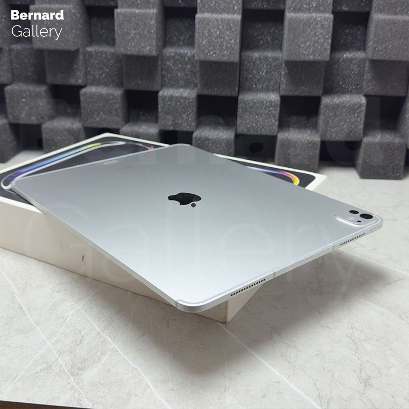 Prodam idyal Ipad Pro 11 m4 256GB wi