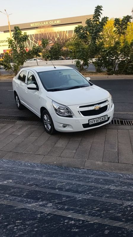 Cobalt 2024 svoy