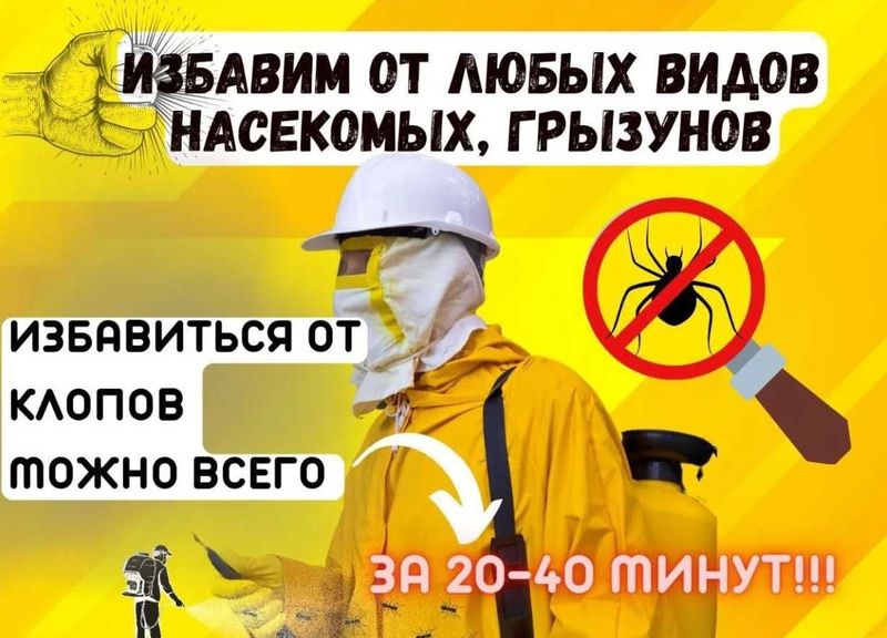 Служба СЭС 100% уничтожение клопов тараканов блох клещей крыс и мышей Служба СЭС 100% уничтожение клопов тараканов блох клещей крыс и мышей