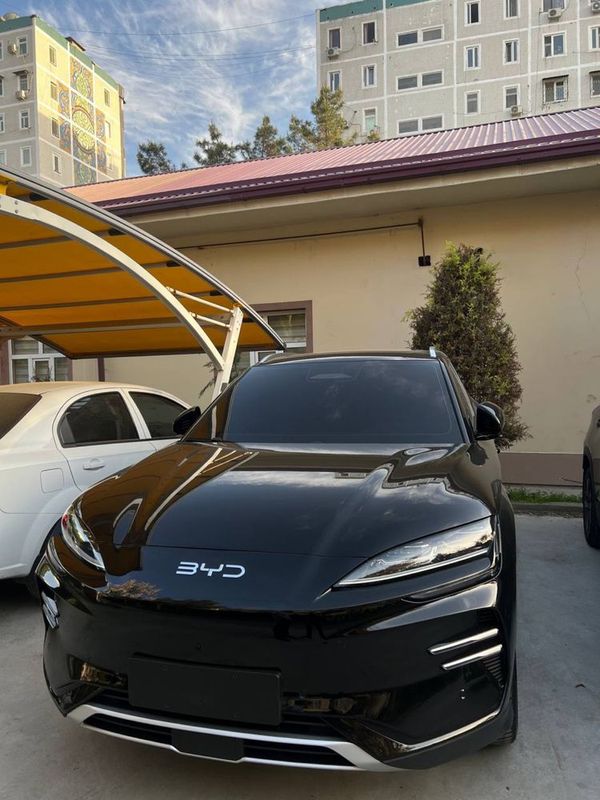 Byd song plus chempion smart natarius