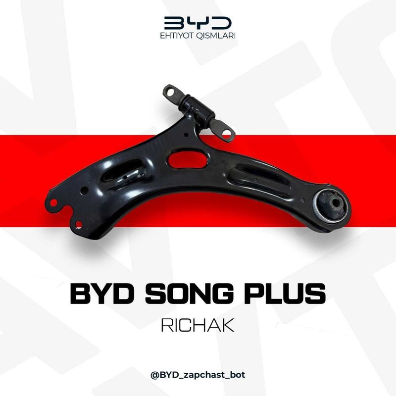 BYD RICHAK song+,chempion,e2,yuan+,seagull