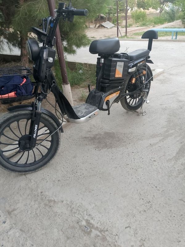 Electrical skutir
