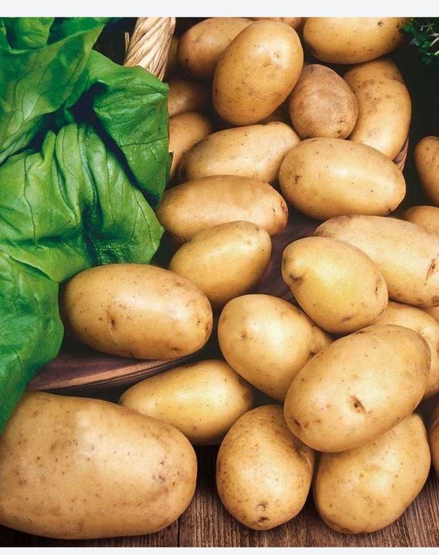 Kartoshka piyoz artib beramiz Kartoshka piyoz artib beramiz