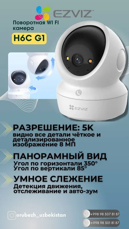 Image 6