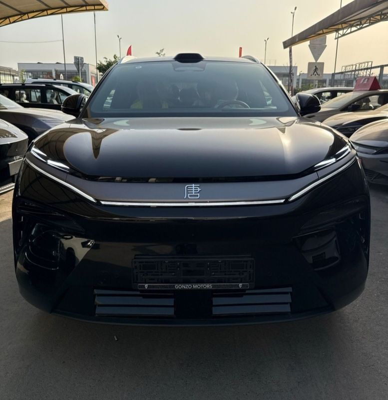 BYD Tang L 2 pozitsiya