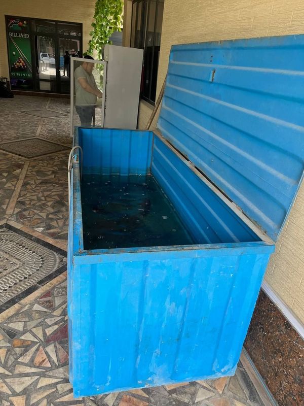 Балик учун гилдиракли аквариум Балик учун гилдиракли аквариум