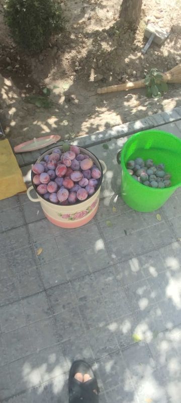 Сливки кисло-сладкий Сливки кисло-сладкий
