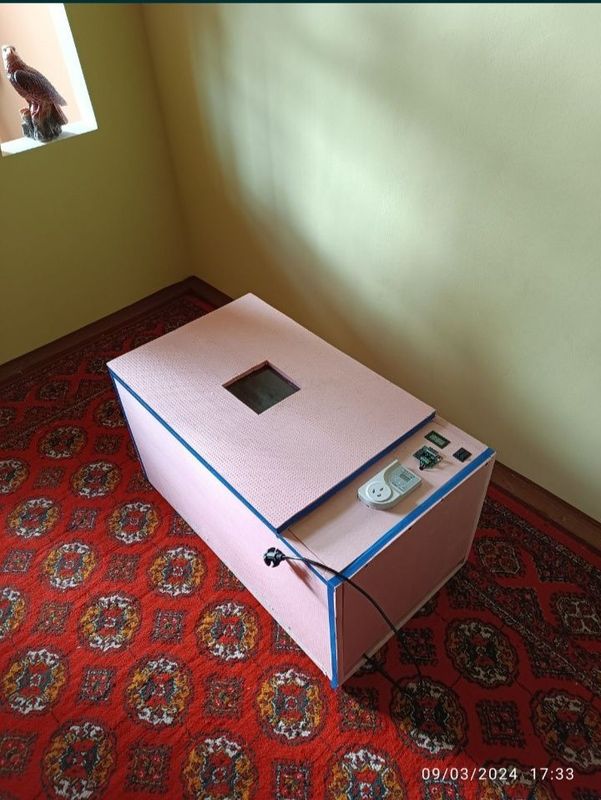 Enkubator xizmati Enkubator xizmati