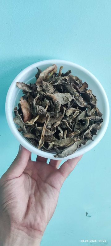 Куритилган пўчоқ Куритилган пўчоқ