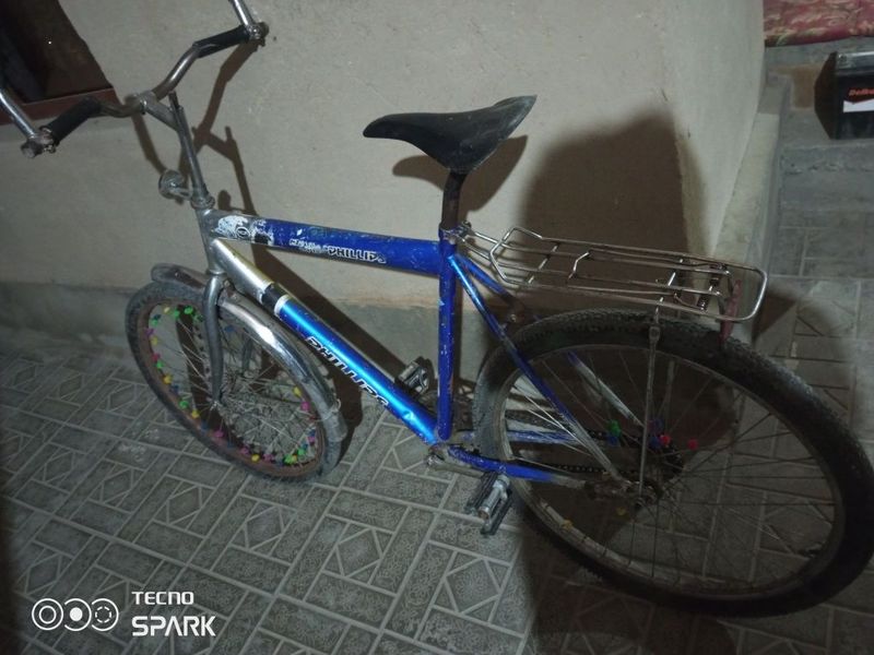 Samarqand tayloq Samarqand tayloq