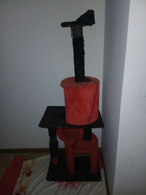 mushuk uyi tahtali holati orto 250.000 mushuk uyi tahtali holati orto 250.000