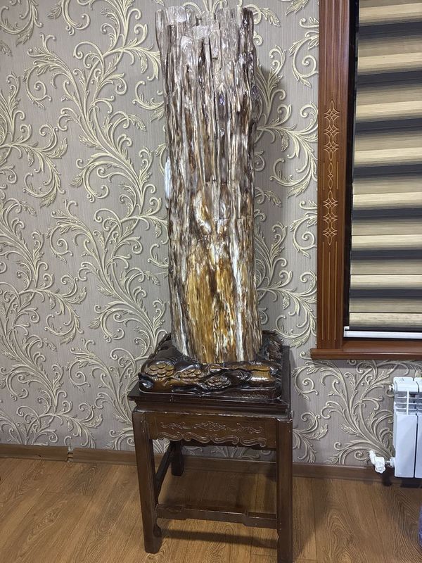 Продаю декоративный камень из окаменевшего дерева (Китай)