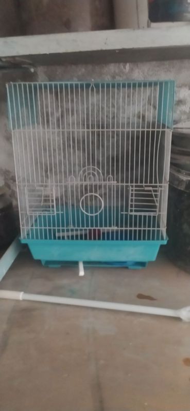Qush qafasi sotiladi Qush qafasi sotiladi