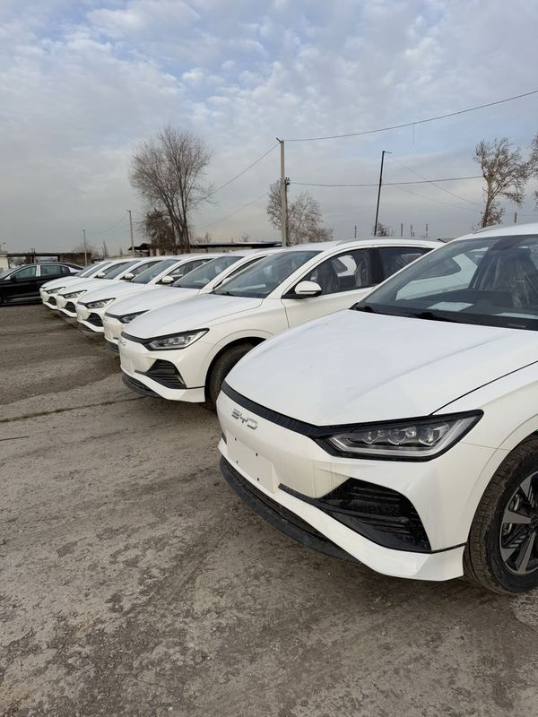 BYD Y2 oq rangli LUXRY 405km TAYYOR