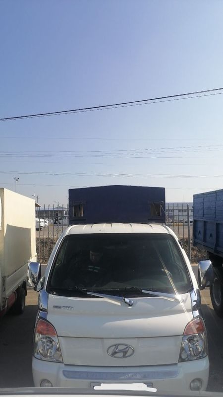 Yil 2010 piro 435000