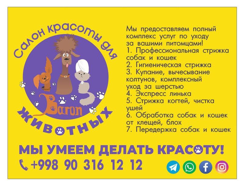 Стрижка кошек и собак Стрижка кошек и собак
