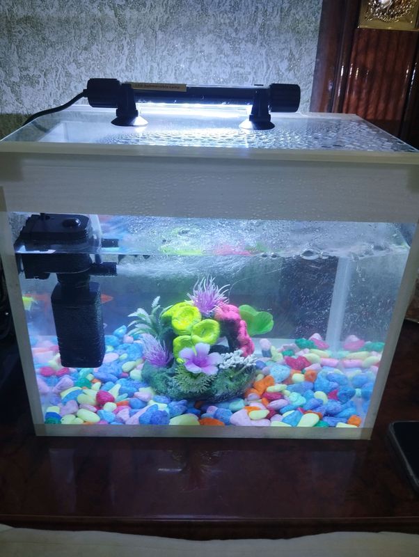 Akvarium