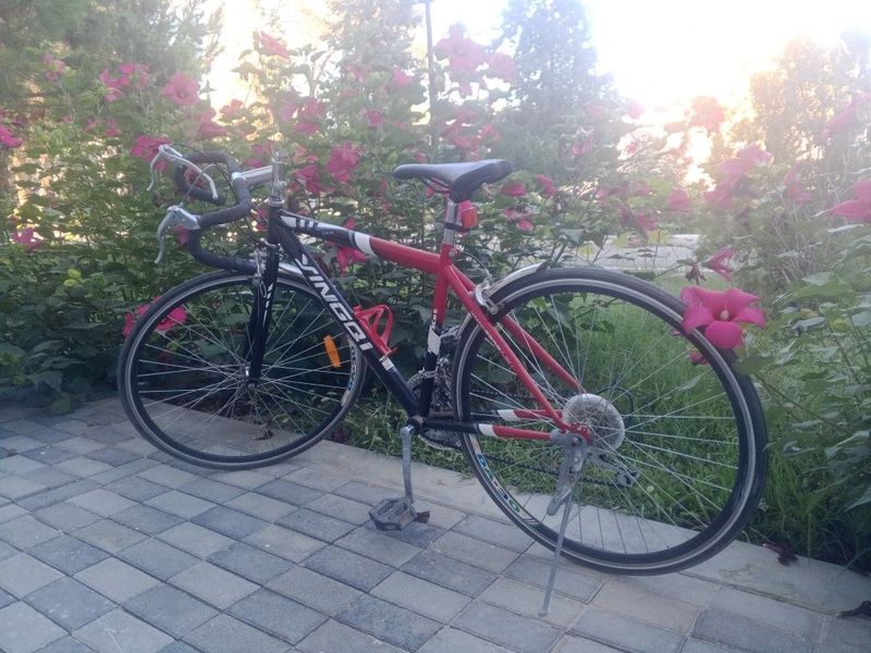 Velo sport judayam yaxshi xolatda bu narxga topish qiyin