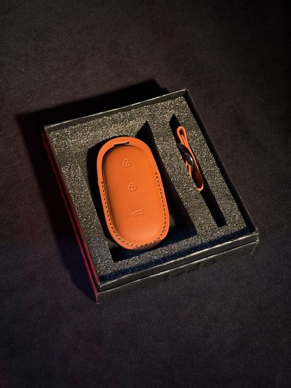 oranjeviy rang pult chehol LEAPMOTOR c16 oranjeviy rang pult chehol LEAPMOTOR c16