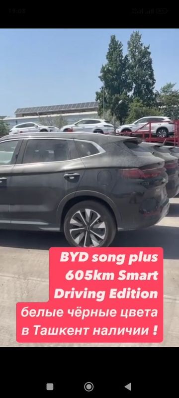 Byd song smart ayselda nomilaga chiqadi Byd song smart ayselda nomilaga chiqadi