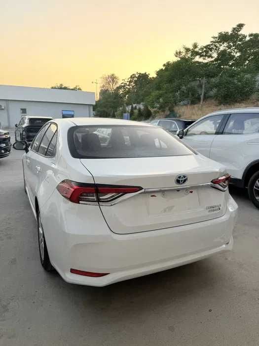 Toyota Carolla 2025 yangi Toyota Carolla 2025 yangi