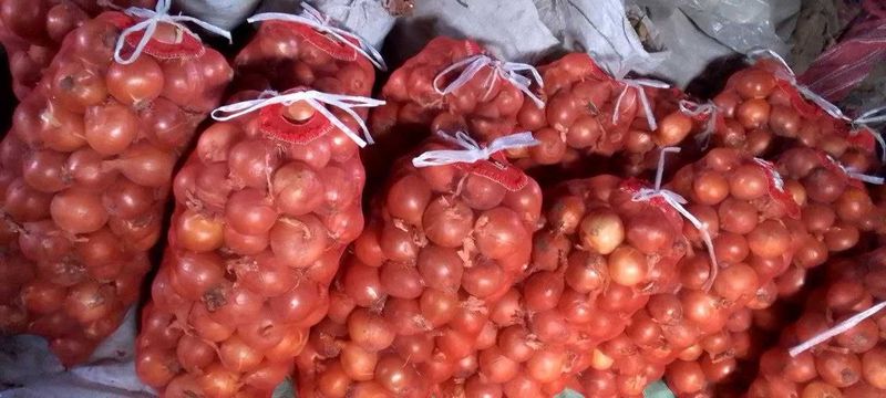Piyoz sotiladi - Yangi hosil, yuqori sifat Piyoz sotiladi - Yangi hosil, yuqori sifat