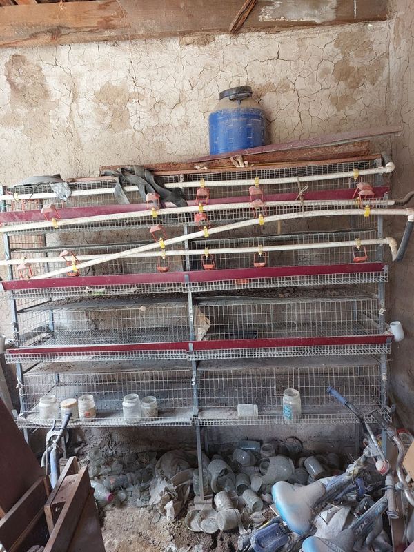 Bedana qafas sotiladi Bedana qafas sotiladi