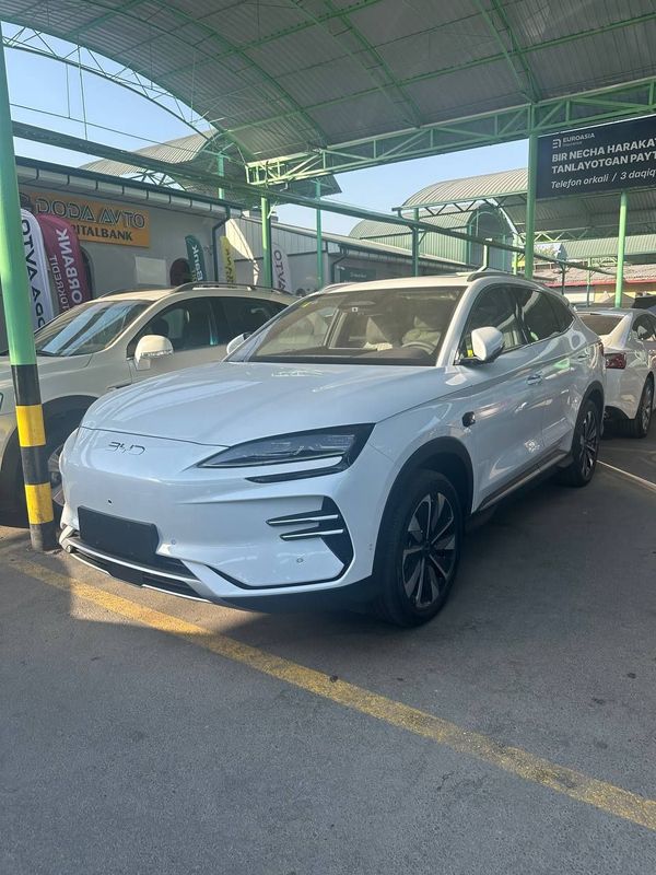 byd chempion smart byd chempion smart