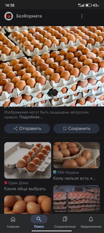 Яйцо куриное большие