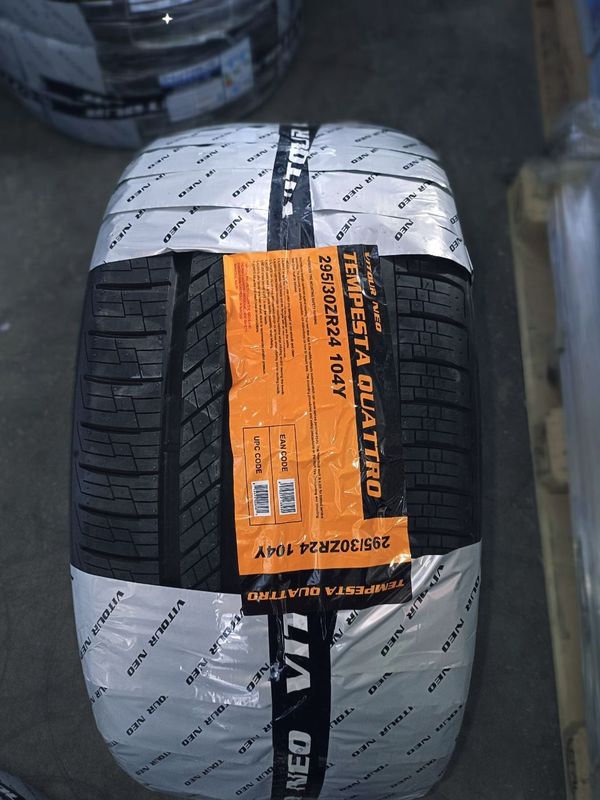 Avtoshina 295/30 r24