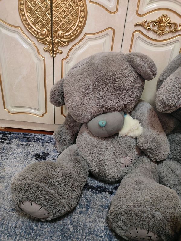 chiroyliy ayiqcha chiroyliy ayiqcha