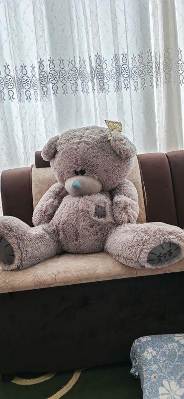 teddiy ayiq