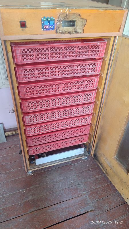 Inkubator 19 kundan keyin joʻja ochirish uchun yani raddom inkubator Inkubator 19 kundan keyin joʻja ochirish uchun yani raddom inkubator